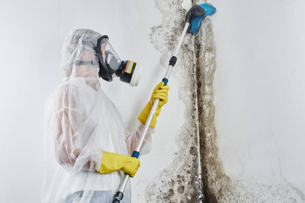 Crawl Space Mold Removal in Rockville, IN