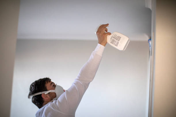 Best Water Damage Restoration  in Rockville, IN