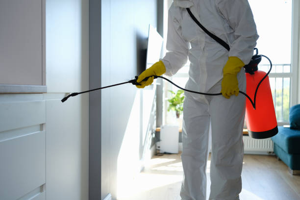 Best Mold Remediation Experts  in Rockville, IN
