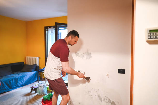 Best Affordable Mold Removal  in Rockville, IN